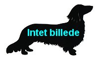 Intet billede