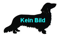 Kein Bild