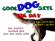 Cool Dog Site of the Day, November 26 1999