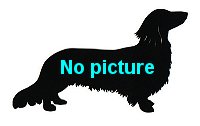 No picture